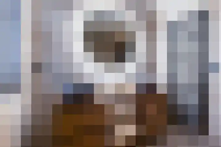 Elleboogweg 10 Apeldoorn thumbnail 16