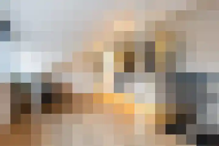 Elleboogweg 10 Apeldoorn thumbnail 20