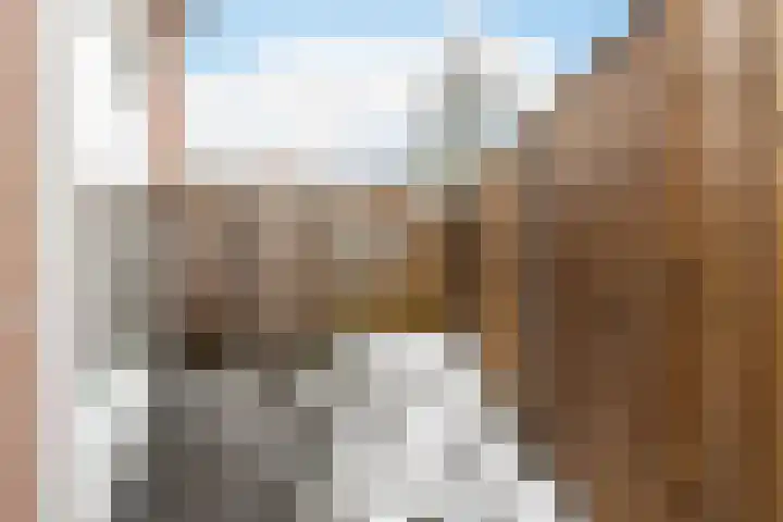 Elleboogweg 10 Apeldoorn thumbnail 29