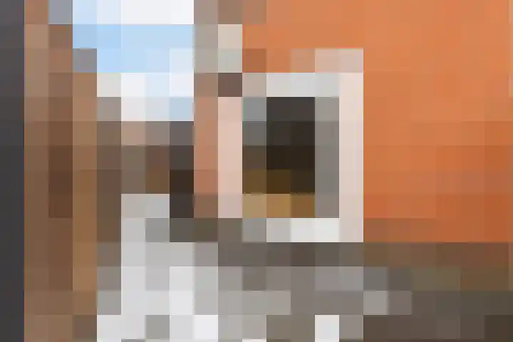 Elleboogweg 10 Apeldoorn thumbnail 30