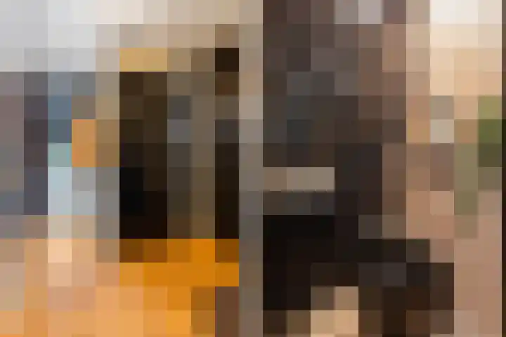 Elleboogweg 10 Apeldoorn thumbnail 5