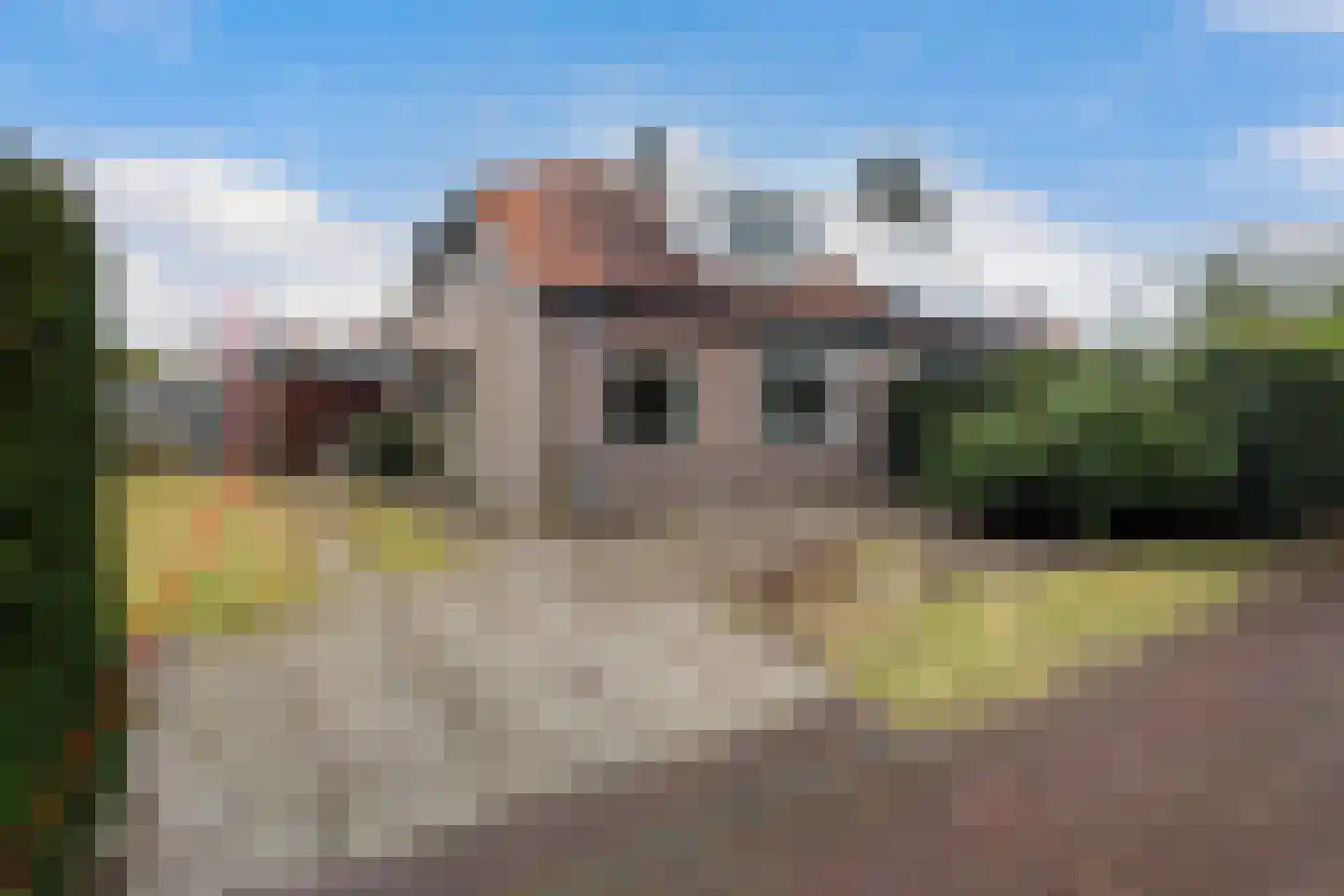 Elleboogweg 3 Laren