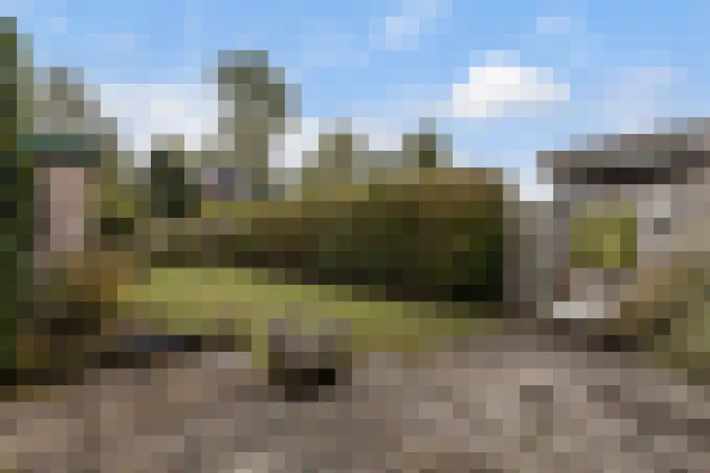 Elleboogweg 3 Laren foto 3
