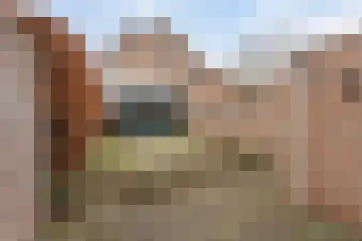 Ellecuylgaard 63 Maastricht thumbnail 13