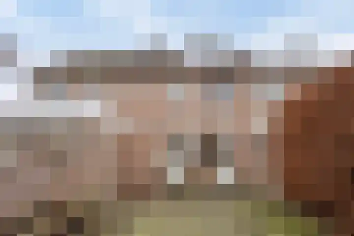 Ellecuylgaard 63 Maastricht thumbnail 14