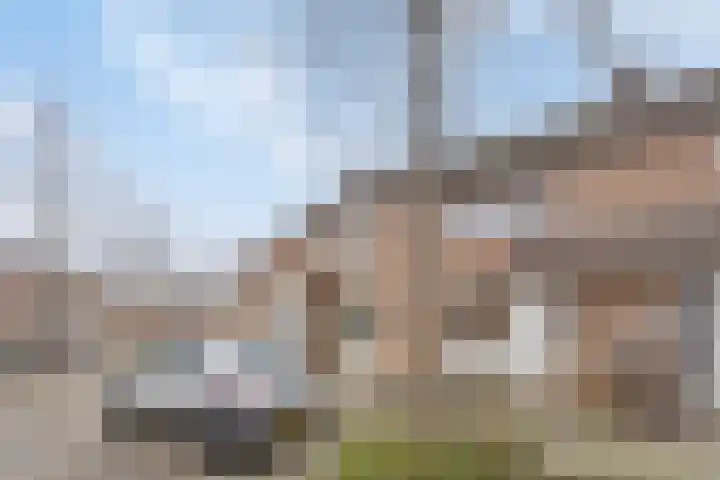 Ellecuylgaard 63 Maastricht thumbnail 35