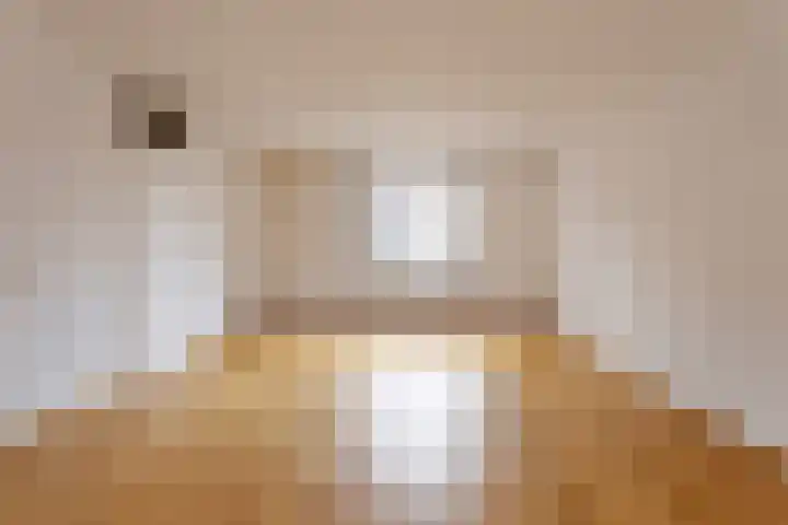 Ellecuylgaard 63 Maastricht thumbnail 5