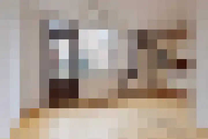 Ellecuylgaard 63 Maastricht thumbnail 7
