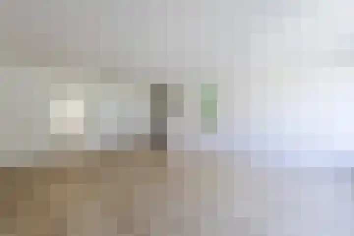 Ellekampzoom 59 Koog aan de Zaan thumbnail 10