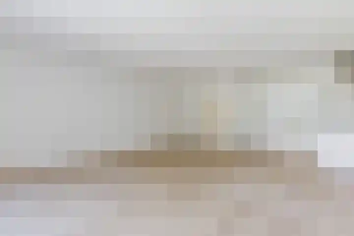 Ellekampzoom 59 Koog aan de Zaan thumbnail 11