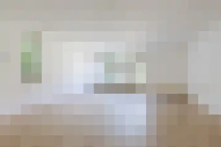 Ellekampzoom 59 Koog aan de Zaan foto 2