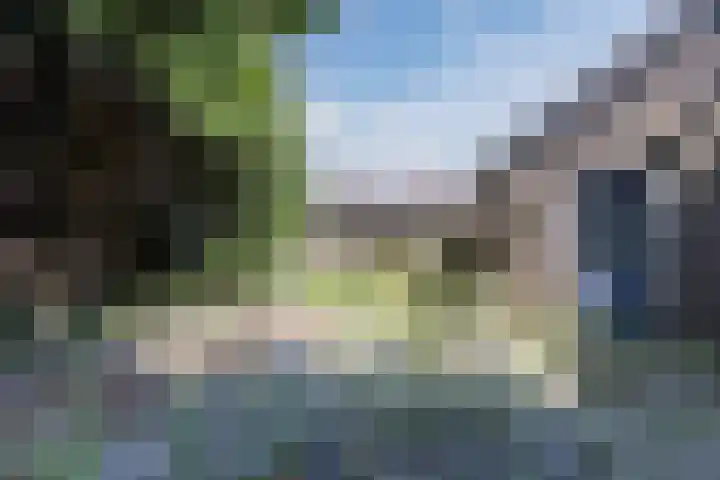 Ellekampzoom 59 Koog aan de Zaan thumbnail 20