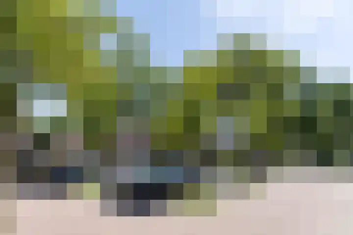 Ellekampzoom 59 Koog aan de Zaan thumbnail 22