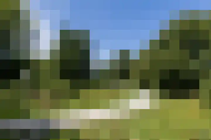 Ellekampzoom 59 Koog aan de Zaan thumbnail 25
