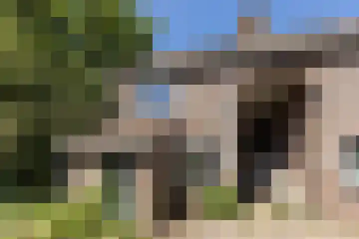 Ellekampzoom 59 Koog aan de Zaan thumbnail 29