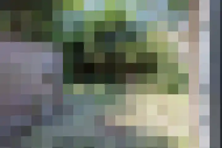 Ellekampzoom 59 Koog aan de Zaan foto 3