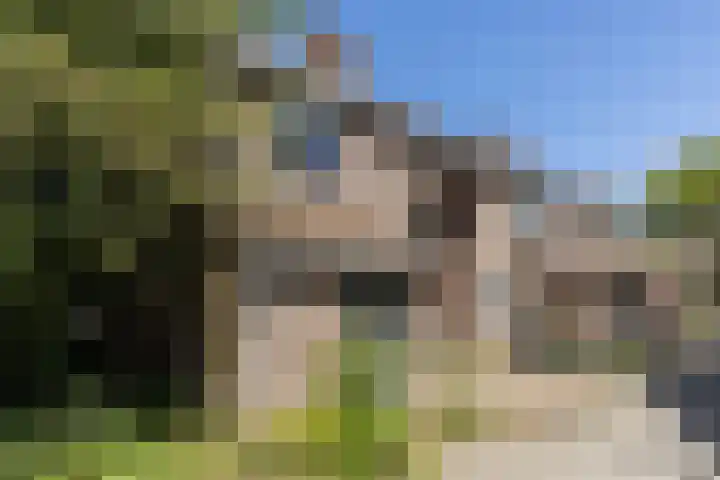 Ellekampzoom 59 Koog aan de Zaan thumbnail 5