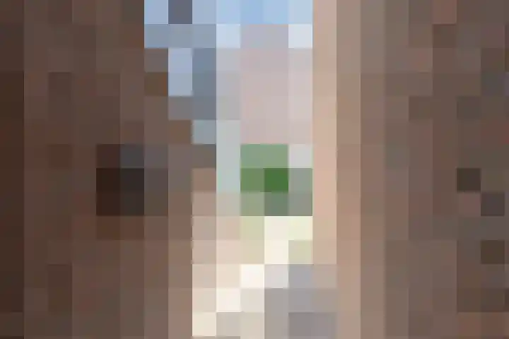 Ellekampzoom 59 Koog aan de Zaan thumbnail 7