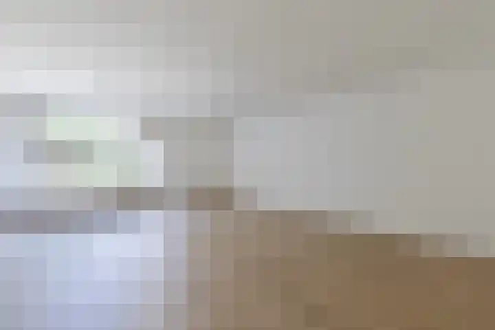 Ellekampzoom 59 Koog aan de Zaan thumbnail 9