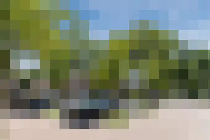 Ellekampzoom 81 Koog aan de Zaan thumbnail 10