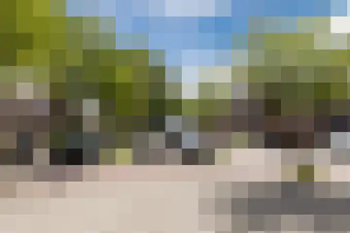 Ellekampzoom 81 Koog aan de Zaan thumbnail 11
