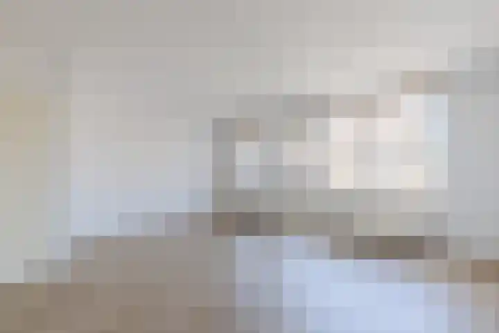 Ellekampzoom 81 Koog aan de Zaan thumbnail 16