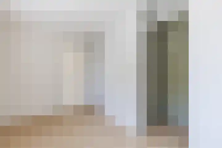 Ellekampzoom 81 Koog aan de Zaan thumbnail 19