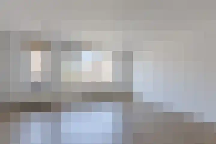 Ellekampzoom 81 Koog aan de Zaan foto 2