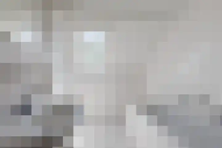 Ellekampzoom 81 Koog aan de Zaan thumbnail 20