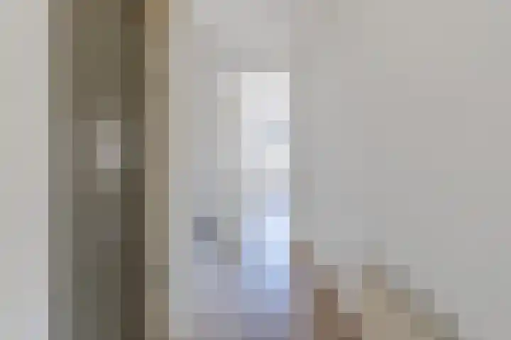 Ellekampzoom 81 Koog aan de Zaan thumbnail 23