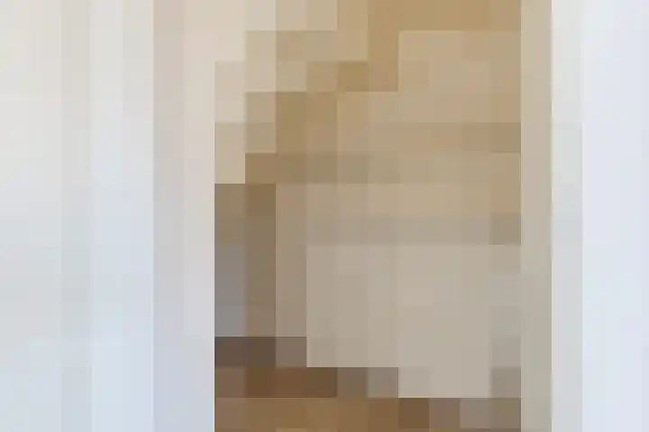 Ellekampzoom 81 Koog aan de Zaan thumbnail 25