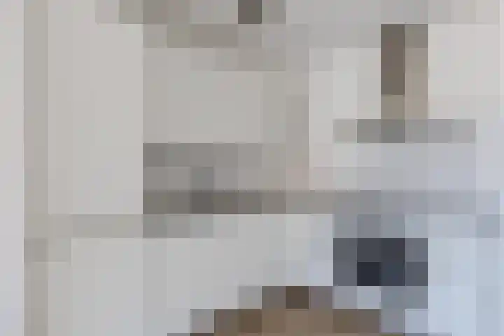 Ellekampzoom 81 Koog aan de Zaan foto 3