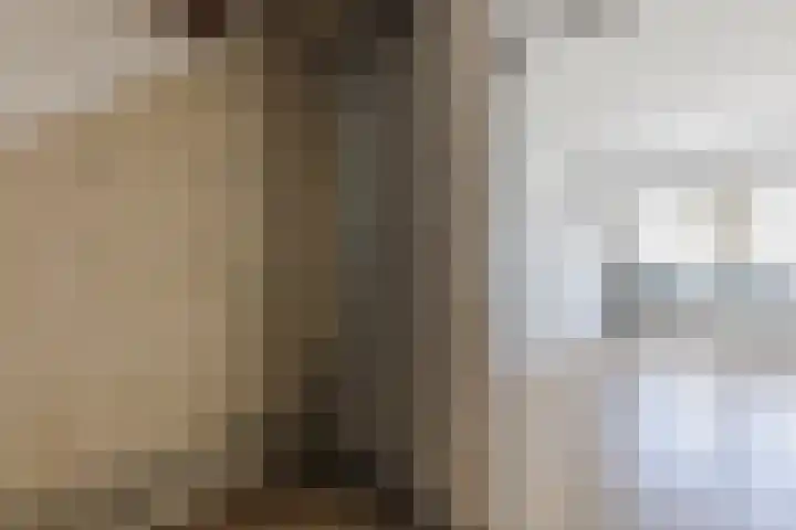Ellekampzoom 81 Koog aan de Zaan thumbnail 32