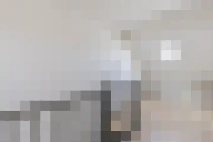 Ellekampzoom 81 Koog aan de Zaan thumbnail 34