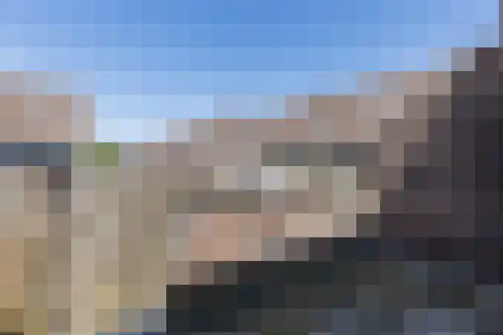 Ellekampzoom 81 Koog aan de Zaan thumbnail 36