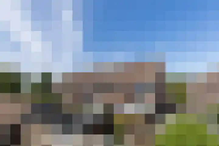 Ellekampzoom 81 Koog aan de Zaan thumbnail 37