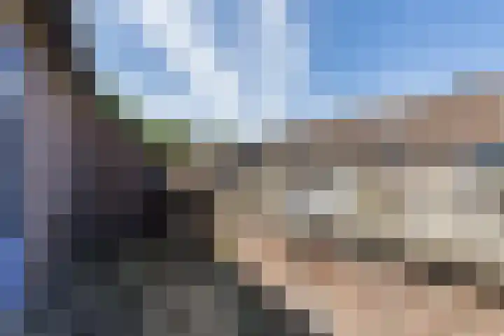 Ellekampzoom 81 Koog aan de Zaan thumbnail 38