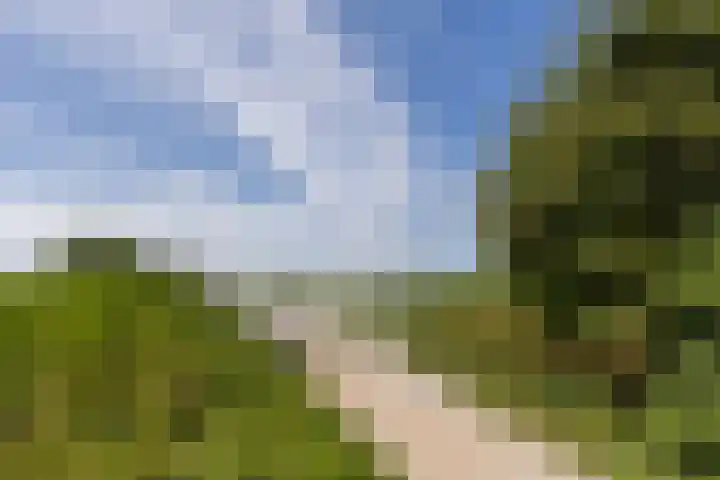 Ellekampzoom 81 Koog aan de Zaan thumbnail 39