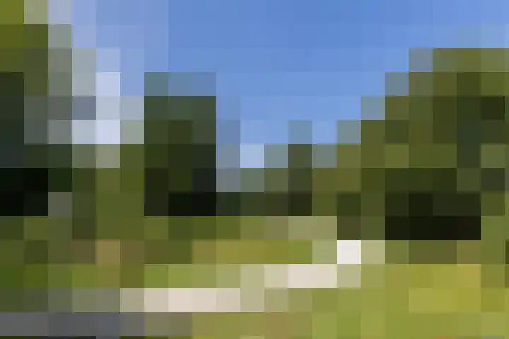 Ellekampzoom 81 Koog aan de Zaan thumbnail 41