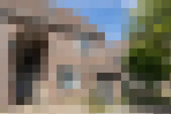 Ellekampzoom 81 Koog aan de Zaan thumbnail 6