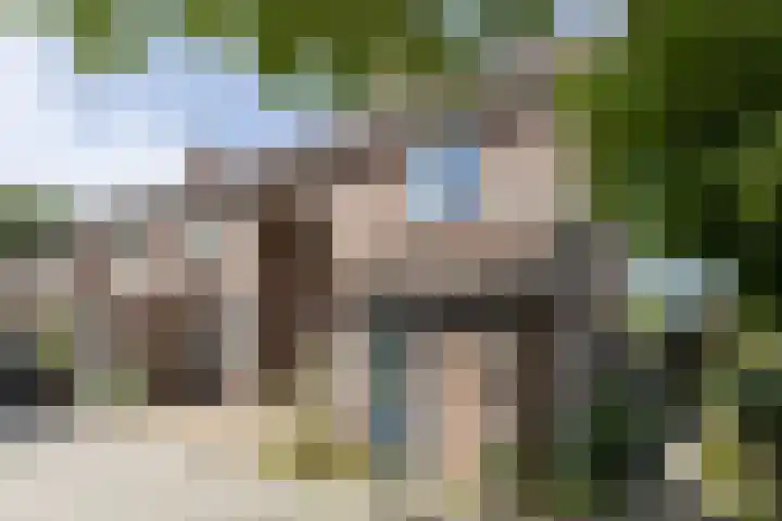 Ellekampzoom 81 Koog aan de Zaan thumbnail 8