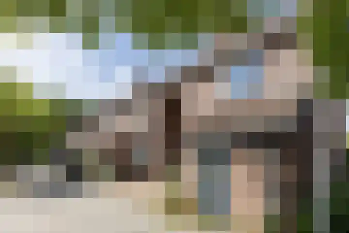 Ellekampzoom 81 Koog aan de Zaan thumbnail 9