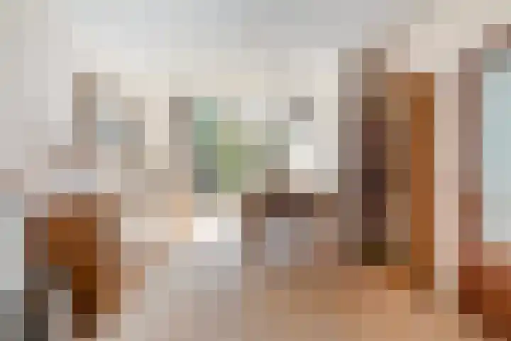 Ellekomstraat 48 Den Haag thumbnail 8