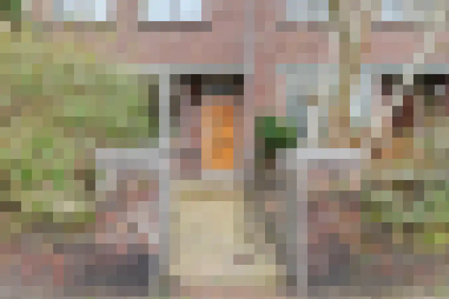 Ellekomstraat 49 Den Haag thumbnail 4