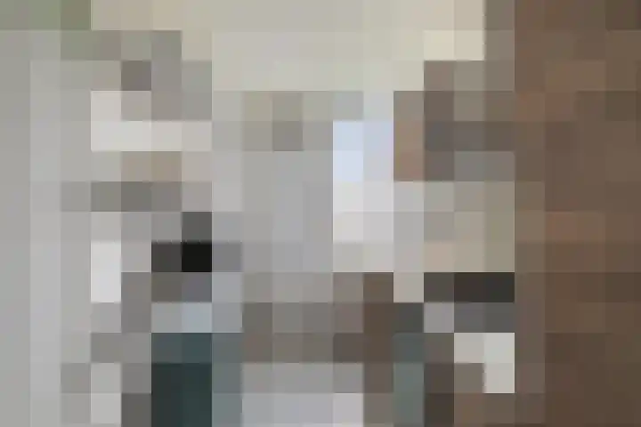 Ellemare 121 Rotterdam thumbnail 21