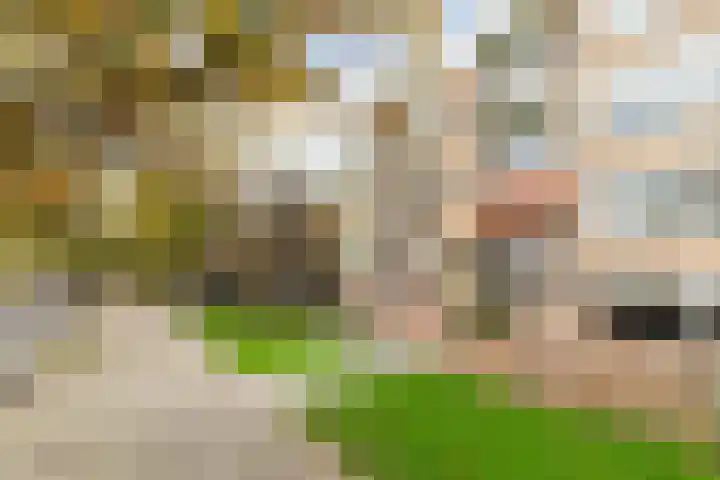 Ellemare 121 Rotterdam thumbnail 24