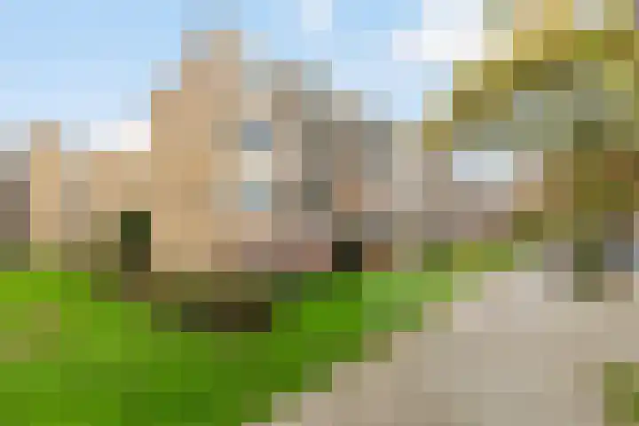 Ellemare 121 Rotterdam thumbnail 32