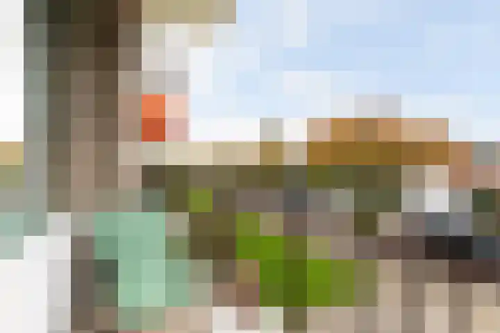 Ellemare 121 Rotterdam thumbnail 33