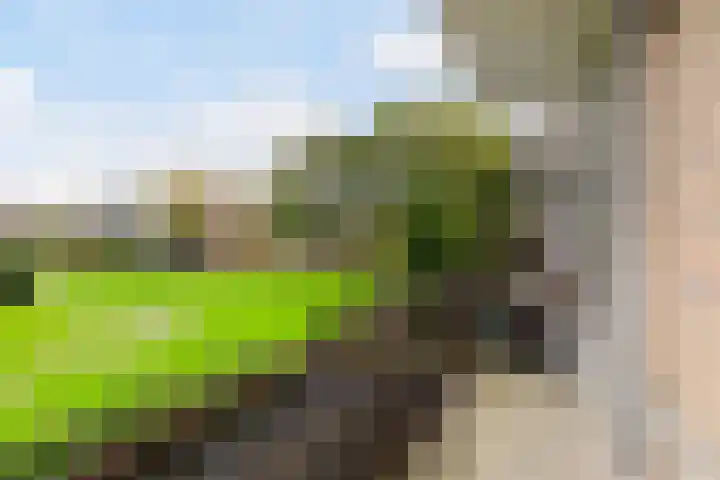 Ellemare 121 Rotterdam thumbnail 34