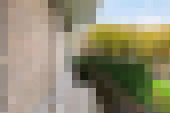 Ellemare 121 Rotterdam thumbnail 37